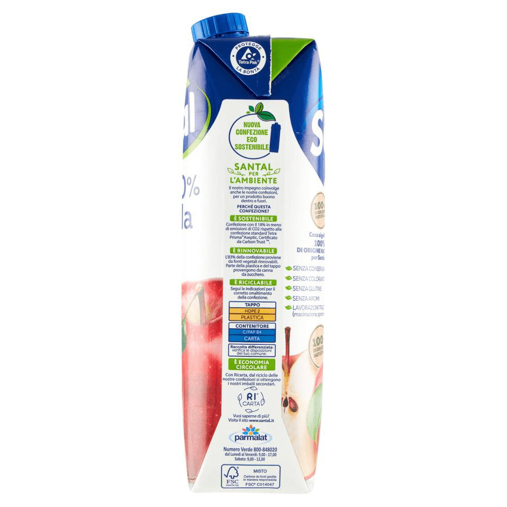 Succo di frutta Santàl Ananas Brik 1 L Tetra Pak